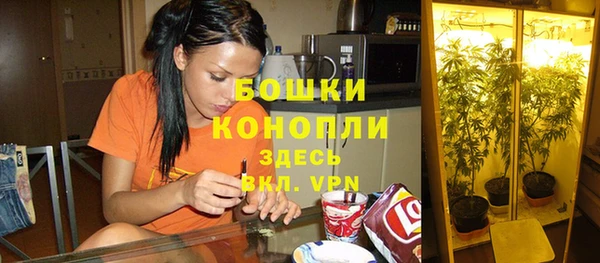 стафф Баксан