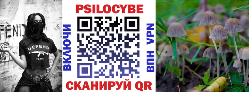 mega ссылка  Можга  Псилоцибиновые грибы Cubensis 